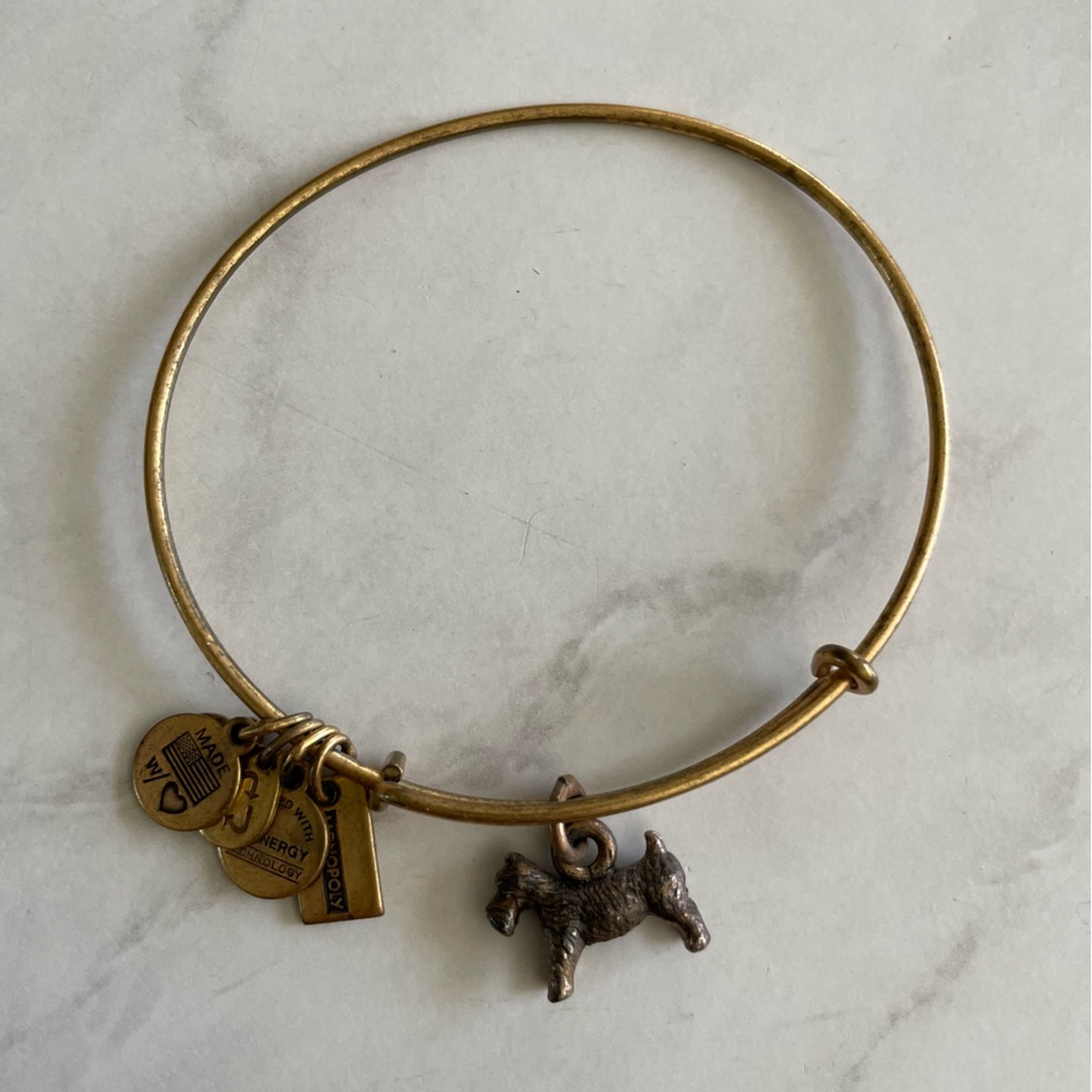 Alex and Ani Monopoly Dog Charm Bracelet
